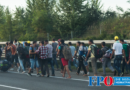 Verfehlte Asylpolitik kostet den Steuerzahler täglich eine Million Euro